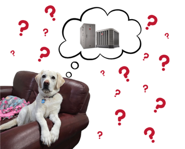 Question Marks; Rheem Furnace and AC unit; dog on couch