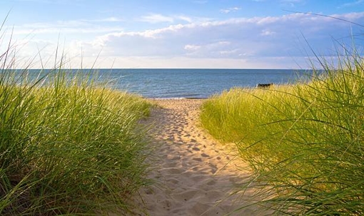 Michigan lake coastline with sand walkway and green grass on either side