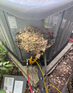 Air conditioner that has been opened up with a bees nest forming inside