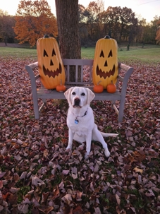 Lily Kearns Sitting between two pumpkin decorations